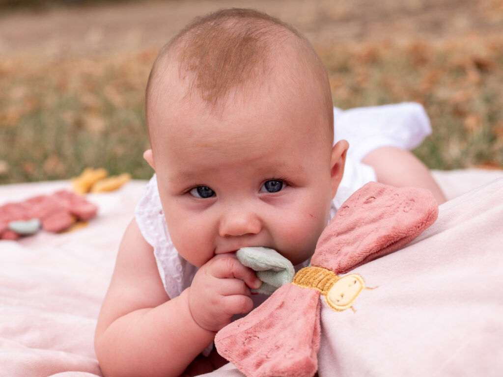 Portraitfoto eines Babys auf einer Decke im Park beim natürlichen Familienshooting in Bonn